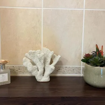 Apartment Fabulous Flat Near Fistral *